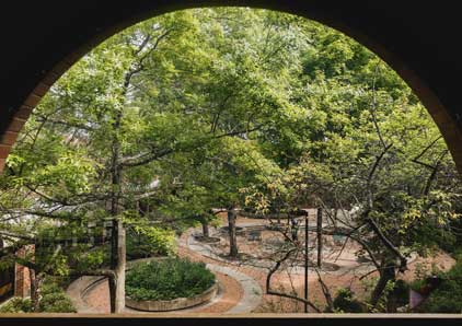 View of trees out of an arched window